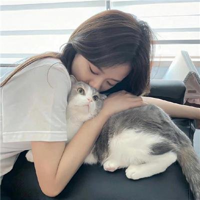 神探艳盗